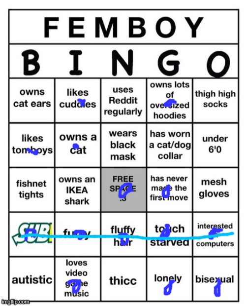 Femboy Bingo | image tagged in femboy bingo | made w/ Imgflip meme maker