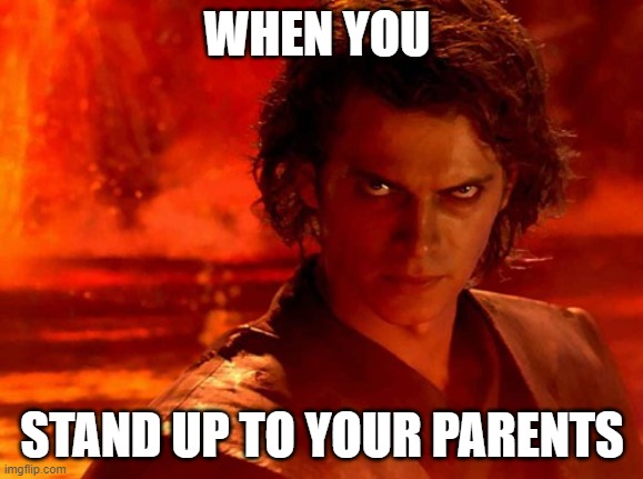 parents be like | WHEN YOU; STAND UP TO YOUR PARENTS | image tagged in memes,you underestimate my power | made w/ Imgflip meme maker