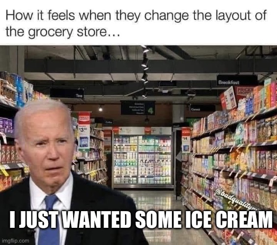 I JUST WANTED SOME ICE CREAM | image tagged in sad joe biden,lost,creepy joe biden | made w/ Imgflip meme maker