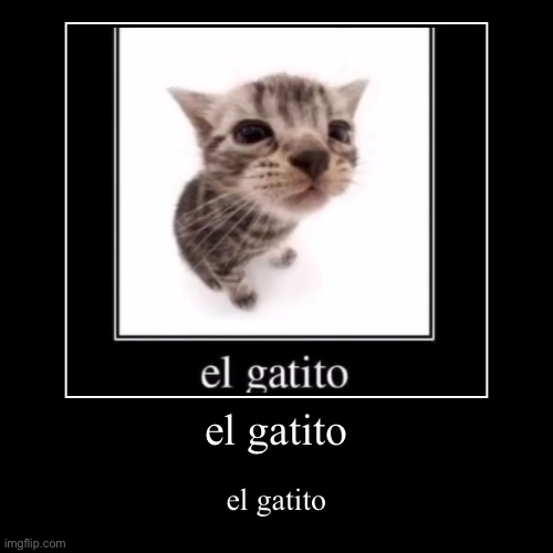 el gatito | el gatito | image tagged in funny,demotivationals | made w/ Imgflip demotivational maker