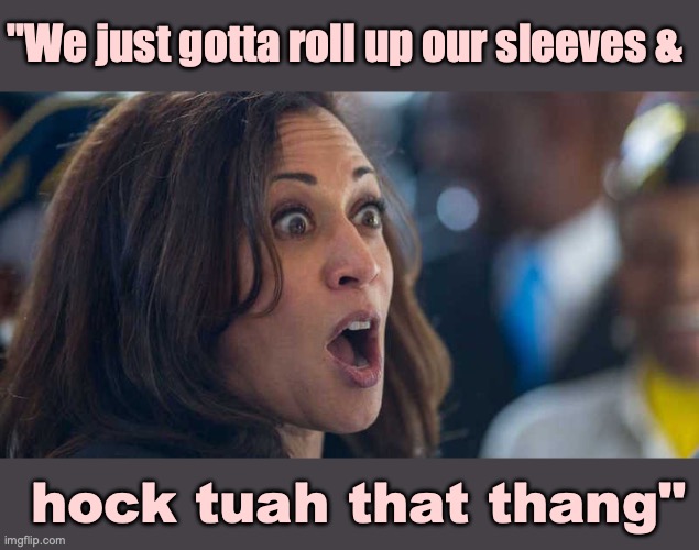 kamala harriss | "We just gotta roll up our sleeves &; hock tuah that thang" | image tagged in kamala harriss | made w/ Imgflip meme maker