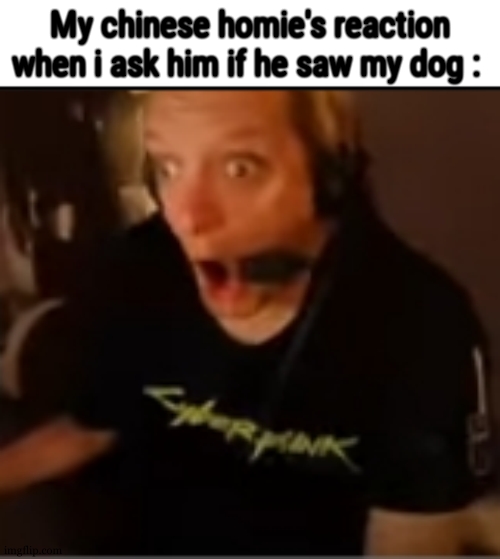 OH NOOOOO | My chinese homie's reaction when i ask him if he saw my dog : | image tagged in oh no | made w/ Imgflip meme maker