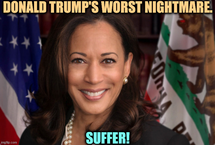 Donald goes nuts when a woman of color beats the cr*p out of him. Fani Willis, Letitia James, etc. Racism and sexism combined! | DONALD TRUMP'S WORST NIGHTMARE. SUFFER! | image tagged in state attorney general senator vice president kamala harrisis,kamala harris,winner,trump,loser | made w/ Imgflip meme maker
