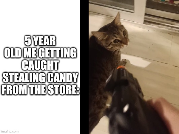 Busted cat | 5 YEAR OLD ME GETTING CAUGHT STEALING CANDY FROM THE STORE: | image tagged in cats | made w/ Imgflip meme maker