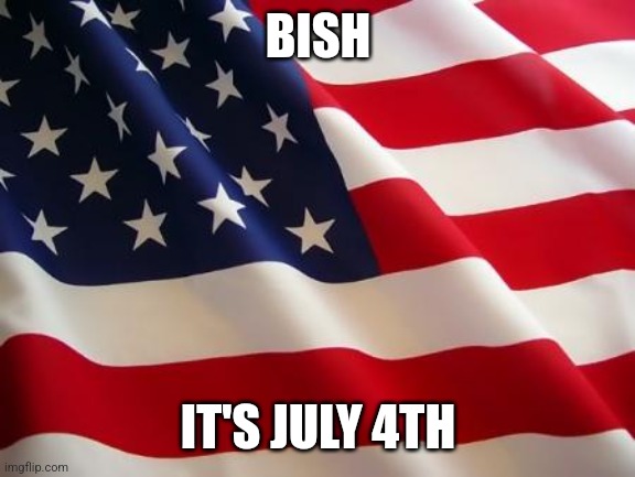 American flag | BISH IT'S JULY 4TH | image tagged in american flag | made w/ Imgflip meme maker