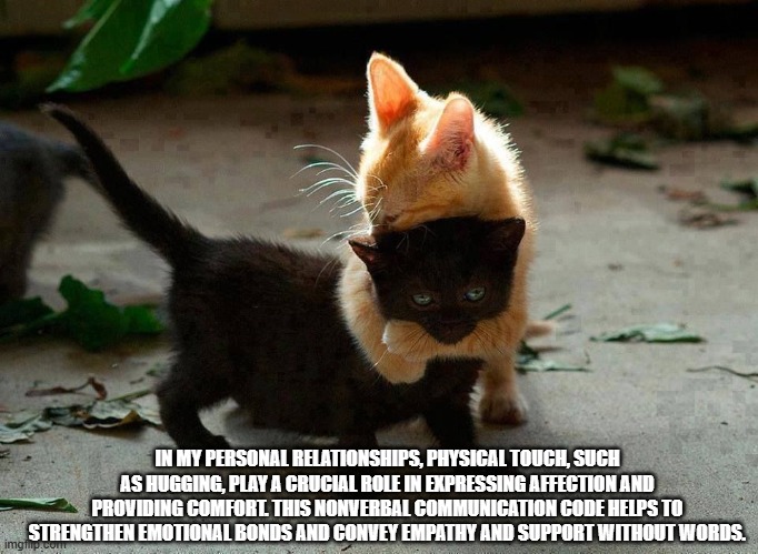 kitten hug | IN MY PERSONAL RELATIONSHIPS, PHYSICAL TOUCH, SUCH AS HUGGING, PLAY A CRUCIAL ROLE IN EXPRESSING AFFECTION AND PROVIDING COMFORT. THIS NONVERBAL COMMUNICATION CODE HELPS TO STRENGTHEN EMOTIONAL BONDS AND CONVEY EMPATHY AND SUPPORT WITHOUT WORDS. | image tagged in kitten hug | made w/ Imgflip meme maker