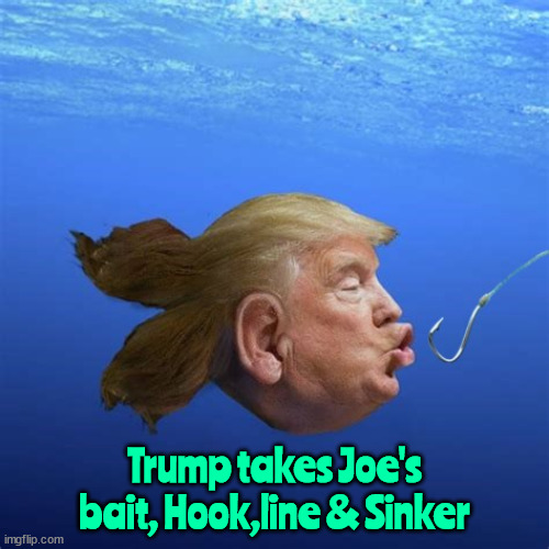 Trumpfish | Trump takes Joe's bait, Hook,line & Sinker | image tagged in hook line and sinker,biden's bait,chum,fish in a barrel,maga mouth ass,2nd debate | made w/ Imgflip meme maker