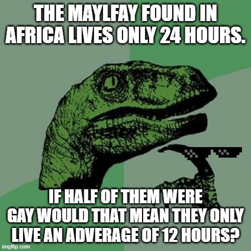 Philosoraptor | THE MAYLFAY FOUND IN AFRICA LIVES ONLY 24 HOURS. IF HALF OF THEM WERE GAY WOULD THAT MEAN THEY ONLY LIVE AN ADVERAGE OF 12 HOURS? | image tagged in memes,philosoraptor | made w/ Imgflip meme maker