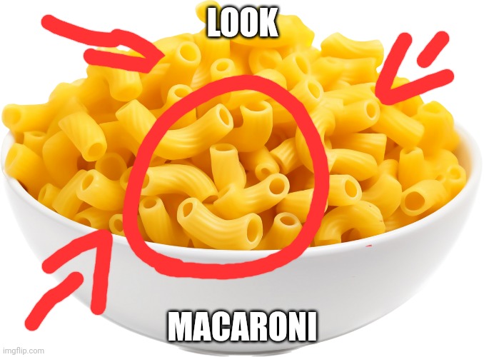 Macaroni | LOOK; MACARONI | image tagged in macaroni | made w/ Imgflip meme maker