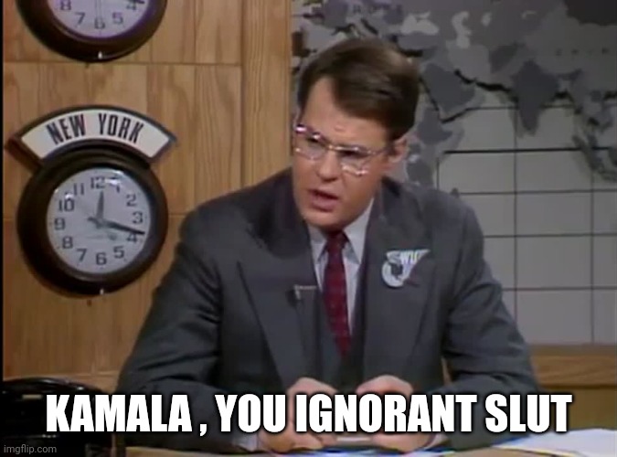 Dan Aykroyd SNL | KAMALA , YOU IGNORANT SLUT | image tagged in dan aykroyd snl | made w/ Imgflip meme maker