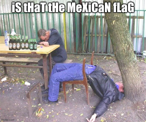 Drunk russian | iS tHaT tHe MeXiCaN fLaG | image tagged in drunk russian | made w/ Imgflip meme maker