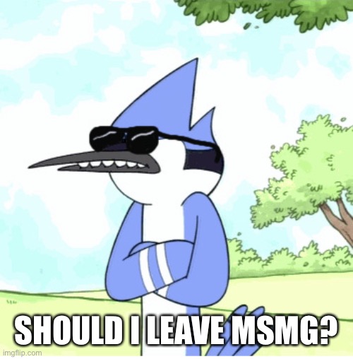 mordecai regular show shades lame | SHOULD I LEAVE MSMG? | image tagged in mordecai regular show shades lame | made w/ Imgflip meme maker