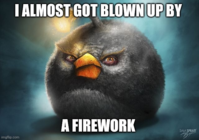 angry birds bomb | I ALMOST GOT BLOWN UP BY; A FIREWORK | image tagged in angry birds bomb | made w/ Imgflip meme maker