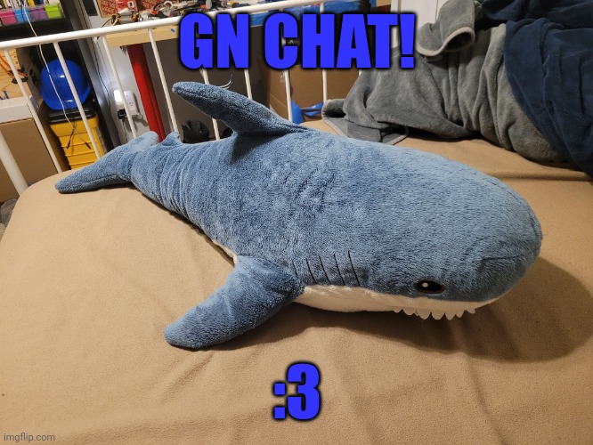 My blahaj | GN CHAT! :3 | image tagged in my blahaj | made w/ Imgflip meme maker