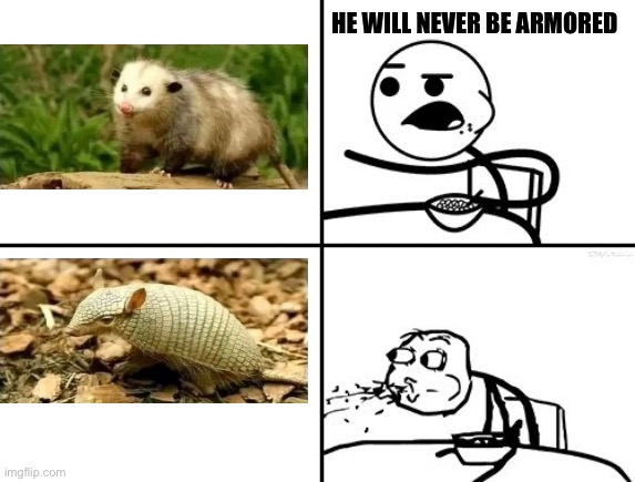 He will never | HE WILL NEVER BE ARMORED | image tagged in he will never,memes,shitpost,funny memes,lol,possum | made w/ Imgflip meme maker
