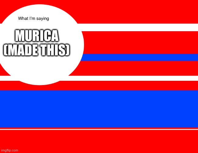 Anis America temp | MURICA
(MADE THIS) | image tagged in anis america temp | made w/ Imgflip meme maker