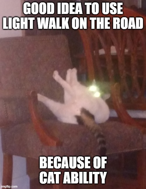 Cat on Back | GOOD IDEA TO USE LIGHT WALK ON THE ROAD; BECAUSE OF CAT ABILITY | image tagged in cat on back | made w/ Imgflip meme maker