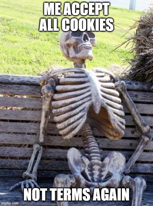 Waiting Skeleton | ME ACCEPT ALL COOKIES; NOT TERMS AGAIN | image tagged in memes,waiting skeleton | made w/ Imgflip meme maker