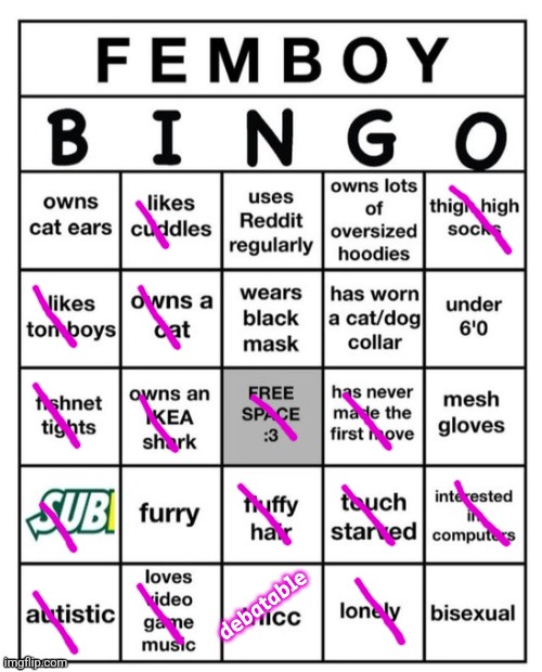 Femboy Bingo | debatable | image tagged in femboy bingo | made w/ Imgflip meme maker