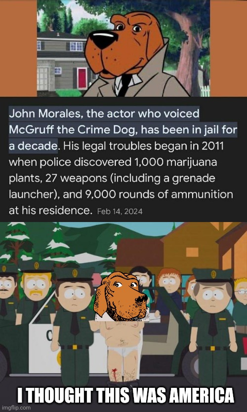 Crime Dog Gets Bite | I THOUGHT THIS WAS AMERICA | image tagged in i thought this was america south park,dog,crime | made w/ Imgflip meme maker