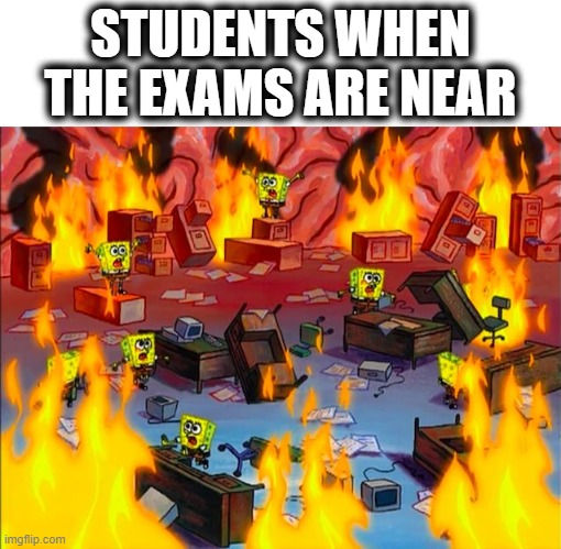 Students when the exams are near (Ahh man i have to study now) | STUDENTS WHEN THE EXAMS ARE NEAR | image tagged in spongebob brain chaos,exams,memes,students,chaos,on fire | made w/ Imgflip meme maker