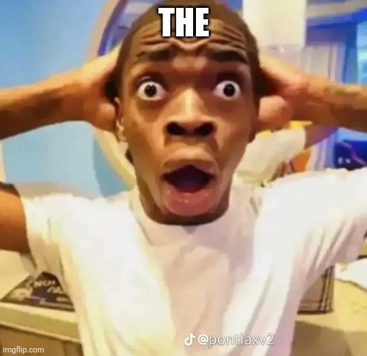 Shocked black guy | THE | image tagged in shocked black guy | made w/ Imgflip meme maker