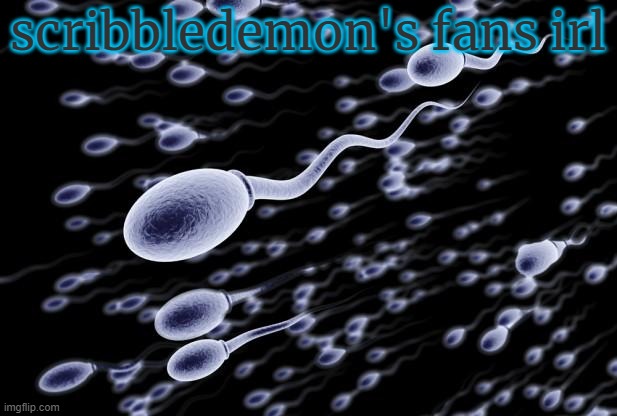 sperm swimming | scribbledemon's fans irl | image tagged in sperm swimming | made w/ Imgflip meme maker