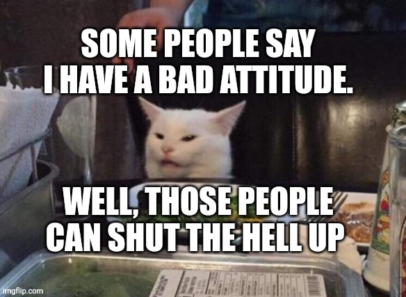 Smudge that darn cat | SOME PEOPLE SAY I HAVE A BAD ATTITUDE. WELL, THOSE PEOPLE CAN SHUT THE HELL UP | image tagged in smudge that darn cat | made w/ Imgflip meme maker