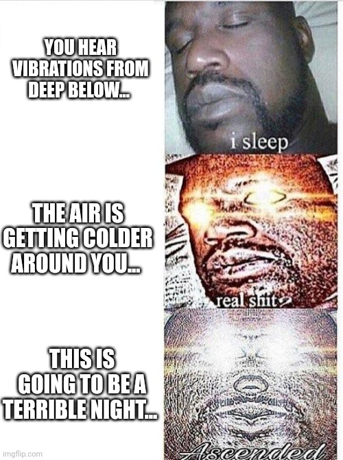 The twins are the worst | YOU HEAR VIBRATIONS FROM DEEP BELOW... THE AIR IS GETTING COLDER AROUND YOU... THIS IS GOING TO BE A TERRIBLE NIGHT... | image tagged in i sleep meme with ascended template,terraria | made w/ Imgflip meme maker