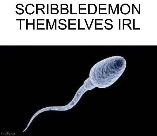 da sperm | SCRIBBLEDEMON THEMSELVES IRL | image tagged in da sperm | made w/ Imgflip meme maker