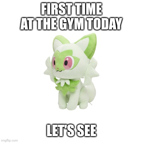 Cactus | FIRST TIME AT THE GYM TODAY; LET'S SEE | image tagged in sprigatito plush | made w/ Imgflip meme maker