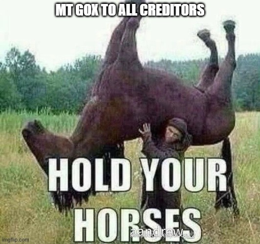 Hold your horses | MT GOX TO ALL CREDITORS | image tagged in hold your horses | made w/ Imgflip meme maker