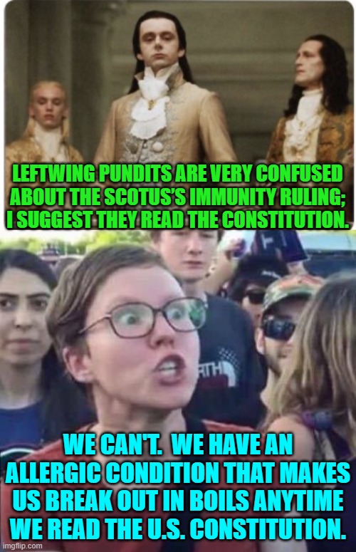 To be fair their leftist public school teachers and Marxist college professors had the same issue. | LEFTWING PUNDITS ARE VERY CONFUSED ABOUT THE SCOTUS’S IMMUNITY RULING; I SUGGEST THEY READ THE CONSTITUTION. WE CAN'T.  WE HAVE AN ALLERGIC CONDITION THAT MAKES US BREAK OUT IN BOILS ANYTIME WE READ THE U.S. CONSTITUTION. | image tagged in superior royalty | made w/ Imgflip meme maker