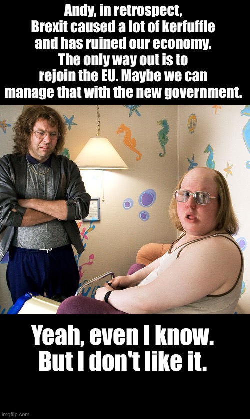 Little Britain in Trouble | Andy, in retrospect, Brexit caused a lot of kerfuffle and has ruined our economy. The only way out is to rejoin the EU. Maybe we can manage that with the new government. Yeah, even I know. But I don't like it. | image tagged in little britain andy,uk,eu,brexit,labour party | made w/ Imgflip meme maker