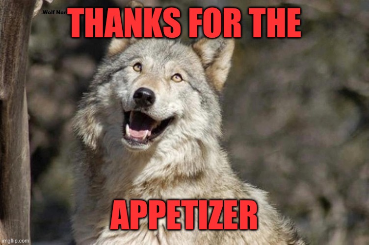 Optimistic Moon Moon Wolf Vanadium Wolf | THANKS FOR THE APPETIZER | image tagged in optimistic moon moon wolf vanadium wolf | made w/ Imgflip meme maker