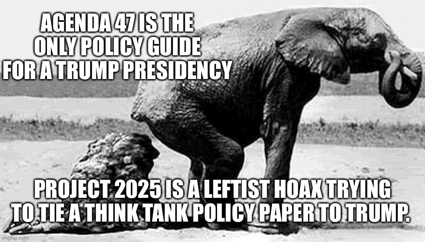 Facts vs Fear Mongering | AGENDA 47 IS THE ONLY POLICY GUIDE FOR A TRUMP PRESIDENCY; PROJECT 2025 IS A LEFTIST HOAX TRYING TO TIE A THINK TANK POLICY PAPER TO TRUMP. | made w/ Imgflip meme maker