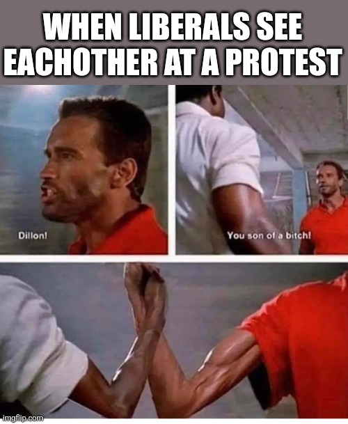 WHEN LIBERALS SEE EACHOTHER AT A PROTEST | image tagged in funny memes | made w/ Imgflip meme maker