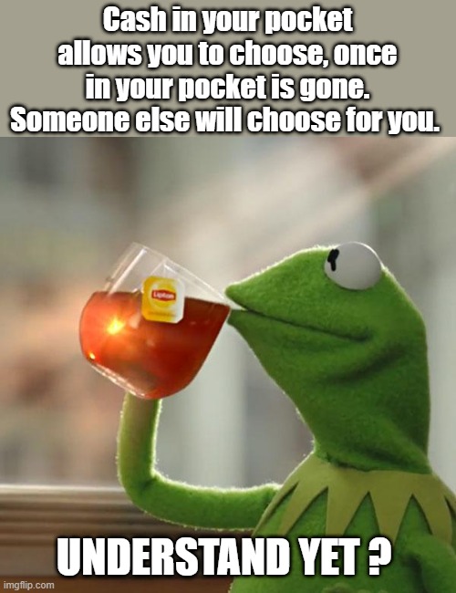 You think they control the money now, just wait. | Cash in your pocket allows you to choose, once in your pocket is gone. Someone else will choose for you. UNDERSTAND YET ? | image tagged in memes,but that's none of my business,kermit the frog | made w/ Imgflip meme maker