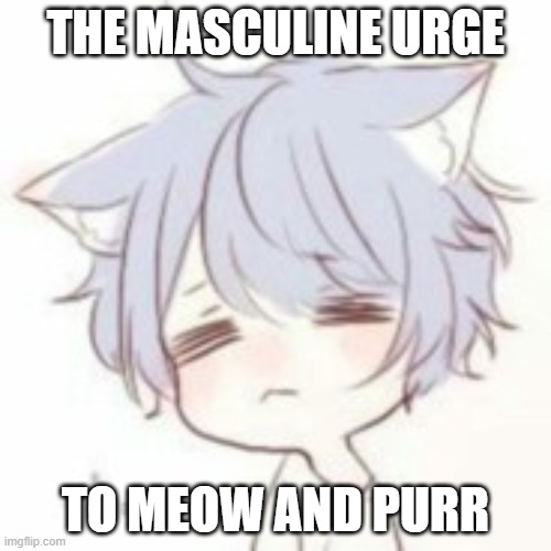 meow =UwU= | THE MASCULINE URGE; TO MEOW AND PURR | image tagged in tired catboy,catboy,anime,cute,cat,memes | made w/ Imgflip meme maker