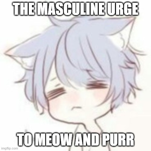 meow =UwU= - Imgflip