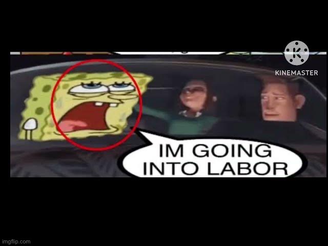 image tagged in dead chat,dead stream | made w/ Imgflip meme maker
