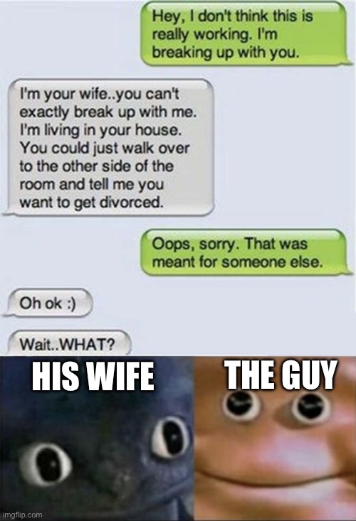 Well, this is quite the situation | HIS WIFE; THE GUY | image tagged in blank stare dragon | made w/ Imgflip meme maker