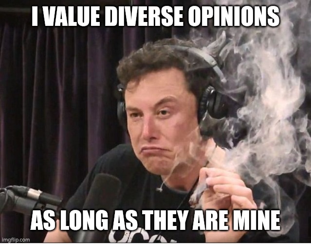 Elon loves diverse opinions | I VALUE DIVERSE OPINIONS; AS LONG AS THEY ARE MINE | image tagged in elon musk smoking a joint | made w/ Imgflip meme maker