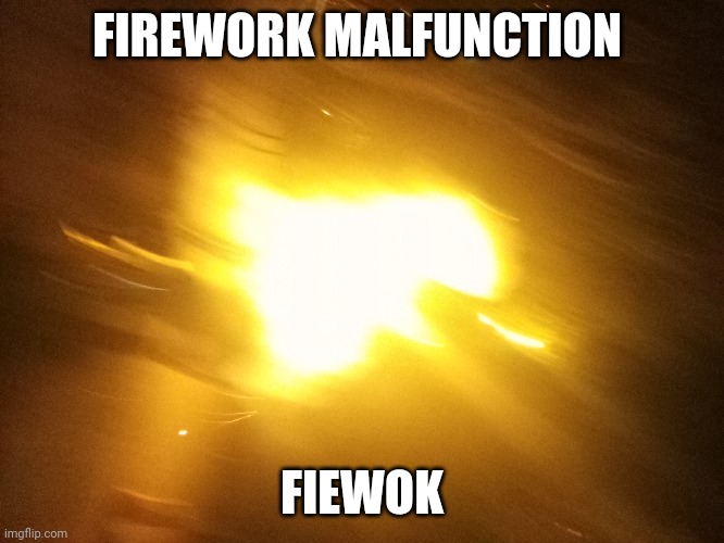 Right when it blew up | FIREWORK MALFUNCTION; FIEWOK | made w/ Imgflip meme maker