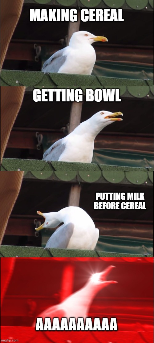 How Dare They! | MAKING CEREAL; GETTING BOWL; PUTTING MILK BEFORE CEREAL; AAAAAAAAAA | image tagged in memes,inhaling seagull,cereal,milk | made w/ Imgflip meme maker