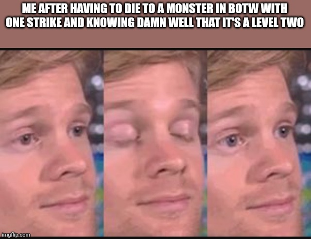 Blinking guy | ME AFTER HAVING TO DIE TO A MONSTER IN BOTW WITH ONE STRIKE AND KNOWING DAMN WELL THAT IT'S A LEVEL TWO | image tagged in blinking guy | made w/ Imgflip meme maker