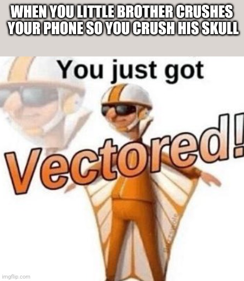 You just got vectored | WHEN YOU LITTLE BROTHER CRUSHES  YOUR PHONE SO YOU CRUSH HIS SKULL | image tagged in you just got vectored | made w/ Imgflip meme maker