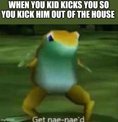 Get nae-nae'd | WHEN YOU KID KICKS YOU SO YOU KICK HIM OUT OF THE HOUSE | image tagged in get nae-nae'd | made w/ Imgflip meme maker