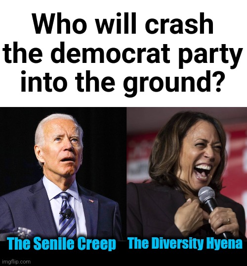 The democrat party is going down in flames, but who'll ride it to its doom? | Who will crash
the democrat party
into the ground? The Senile Creep; The Diversity Hyena | image tagged in joe biden,kamala laughing,memes,democrats,election 2024,who would win | made w/ Imgflip meme maker