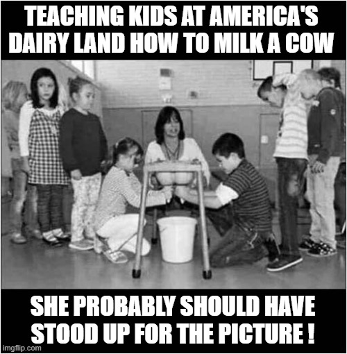 Interesting View ! | TEACHING KIDS AT AMERICA'S DAIRY LAND HOW TO MILK A COW; SHE PROBABLY SHOULD HAVE STOOD UP FOR THE PICTURE ! | image tagged in milking the cow,bad picture,dark humour | made w/ Imgflip meme maker